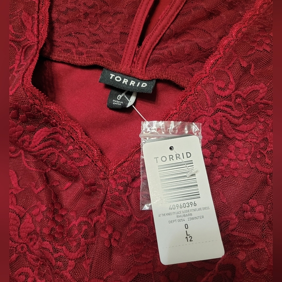 Fit & Flare Red Lace Dress - Picture 5 of 5